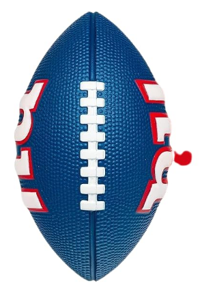 Soft Foam Mini Football – 8.5 Inch Youth Training Ball Set with Air Pump, Multiple Team Styles