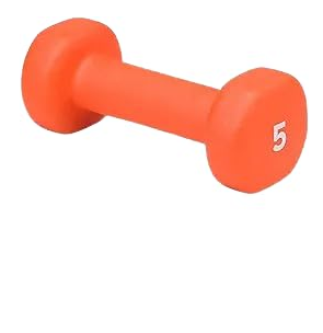 Neoprene Coated Dumbbell – Single Hand Weight for Strength Training, Home Gym & Fitness Workouts – Durable Non-Slip Exercise Weight